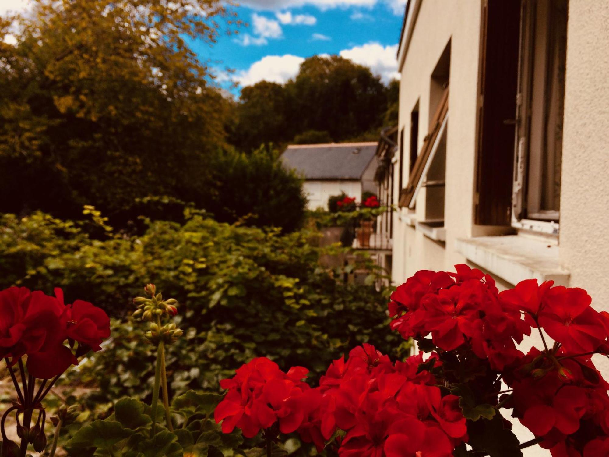 Le Clos Rabelais Langeais Kültér fotó
